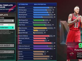 NBA 2K25 Chris Anderson Template Build